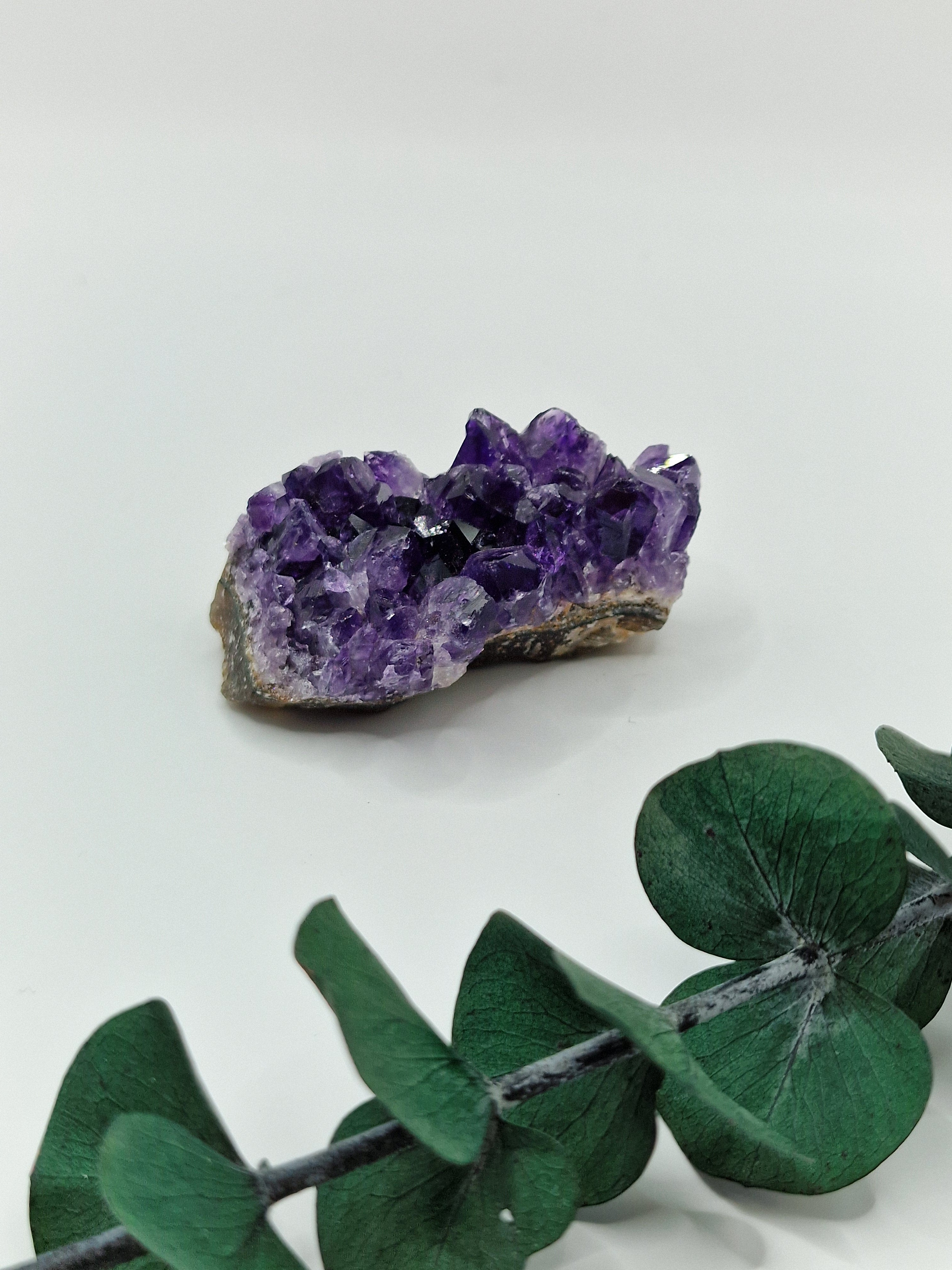 Amethyst Cluster aus Uruguay 💜