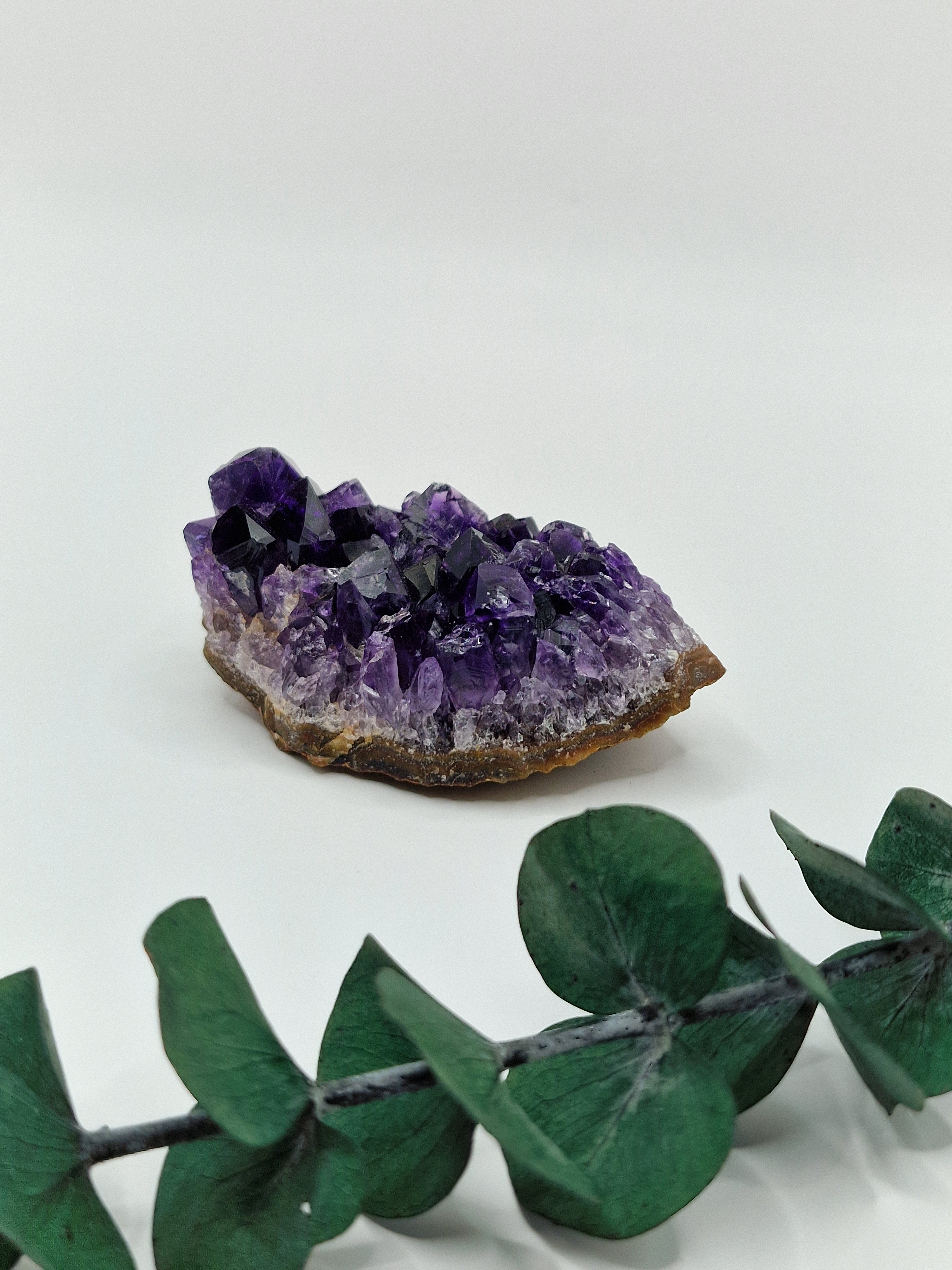 Amethyst Cluster aus Uruguay 💜