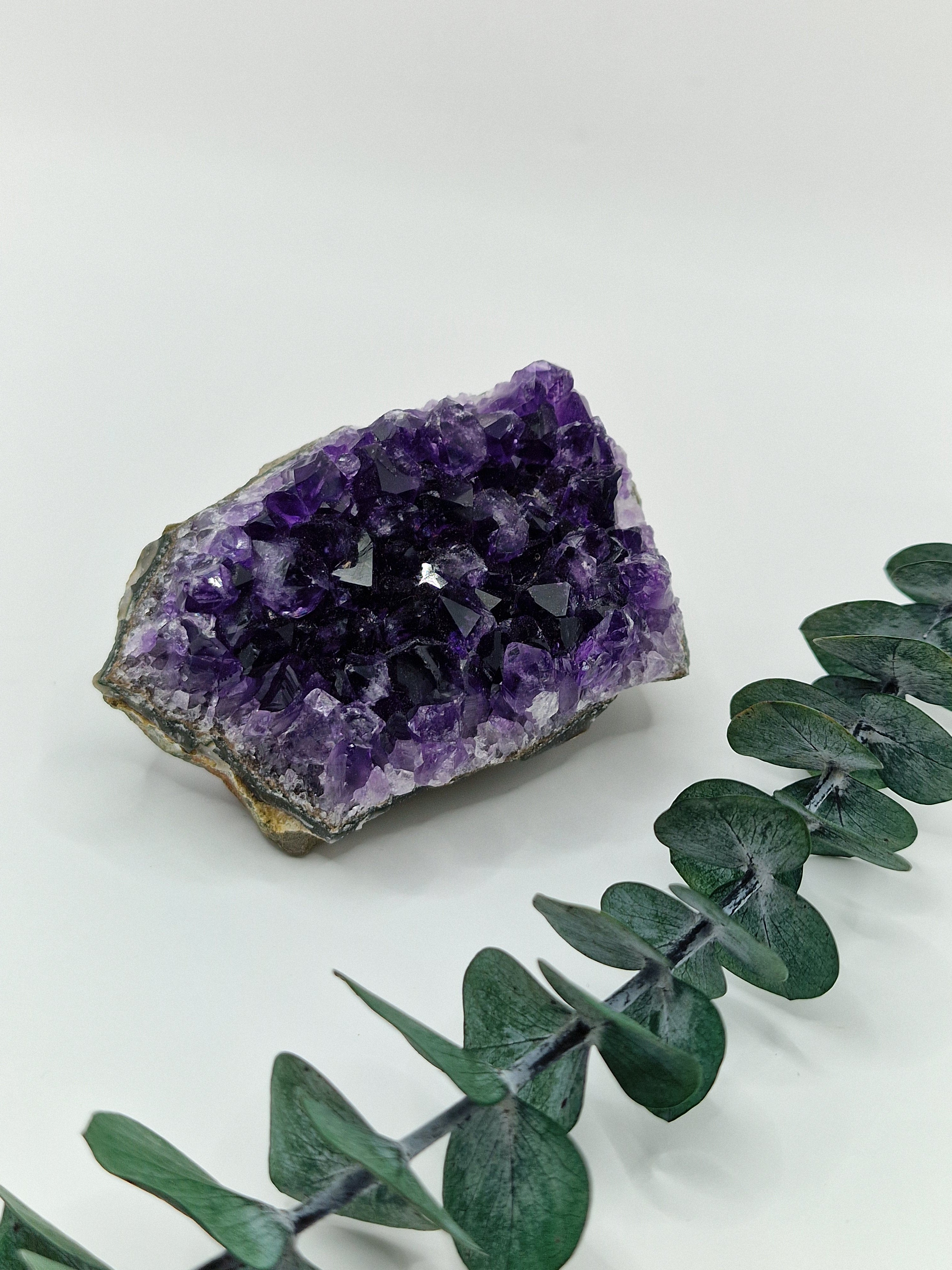 Amethyst Cluster aus Uruguay 💜