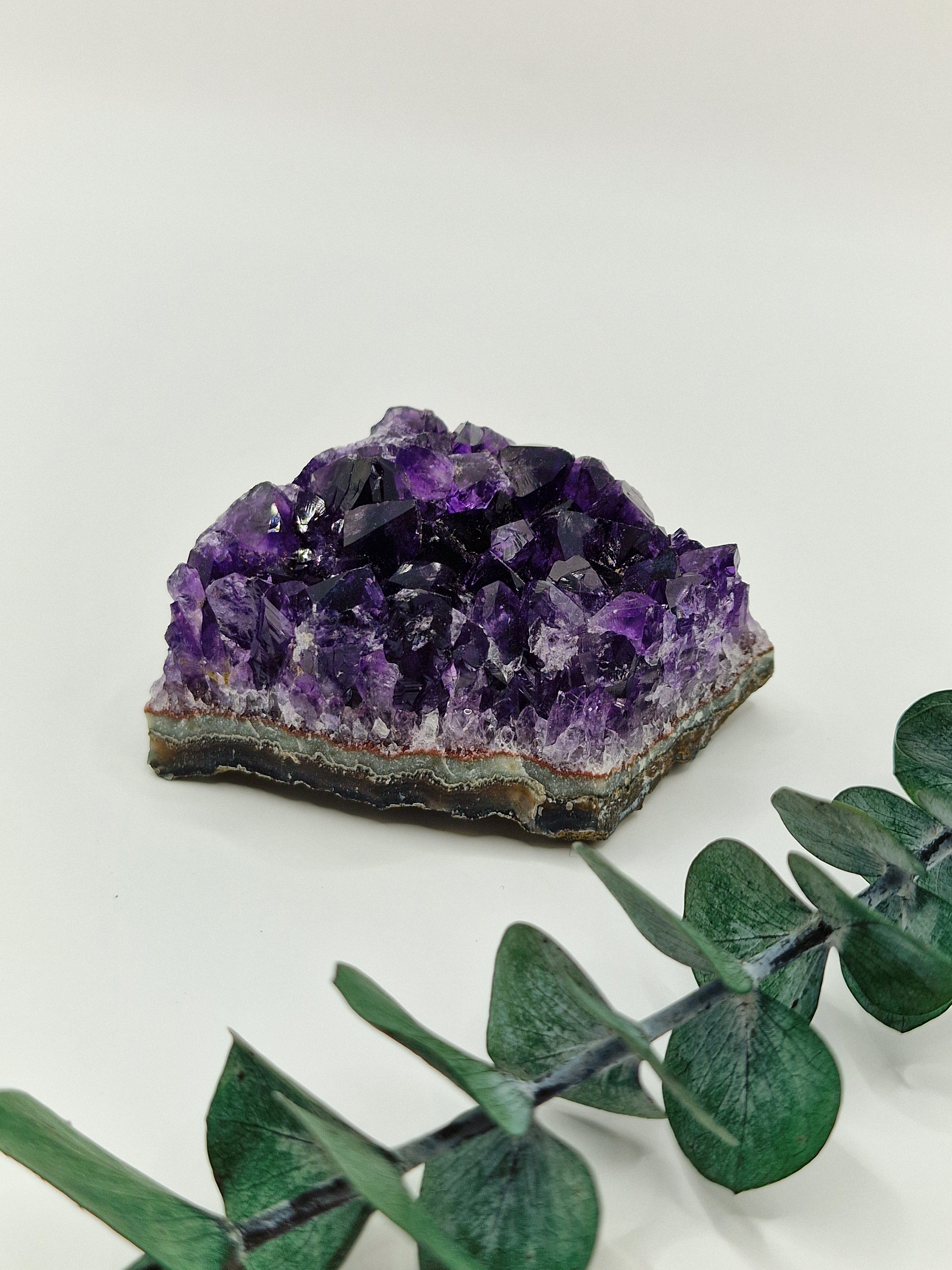 Amethyst Cluster aus Uruguay 💜