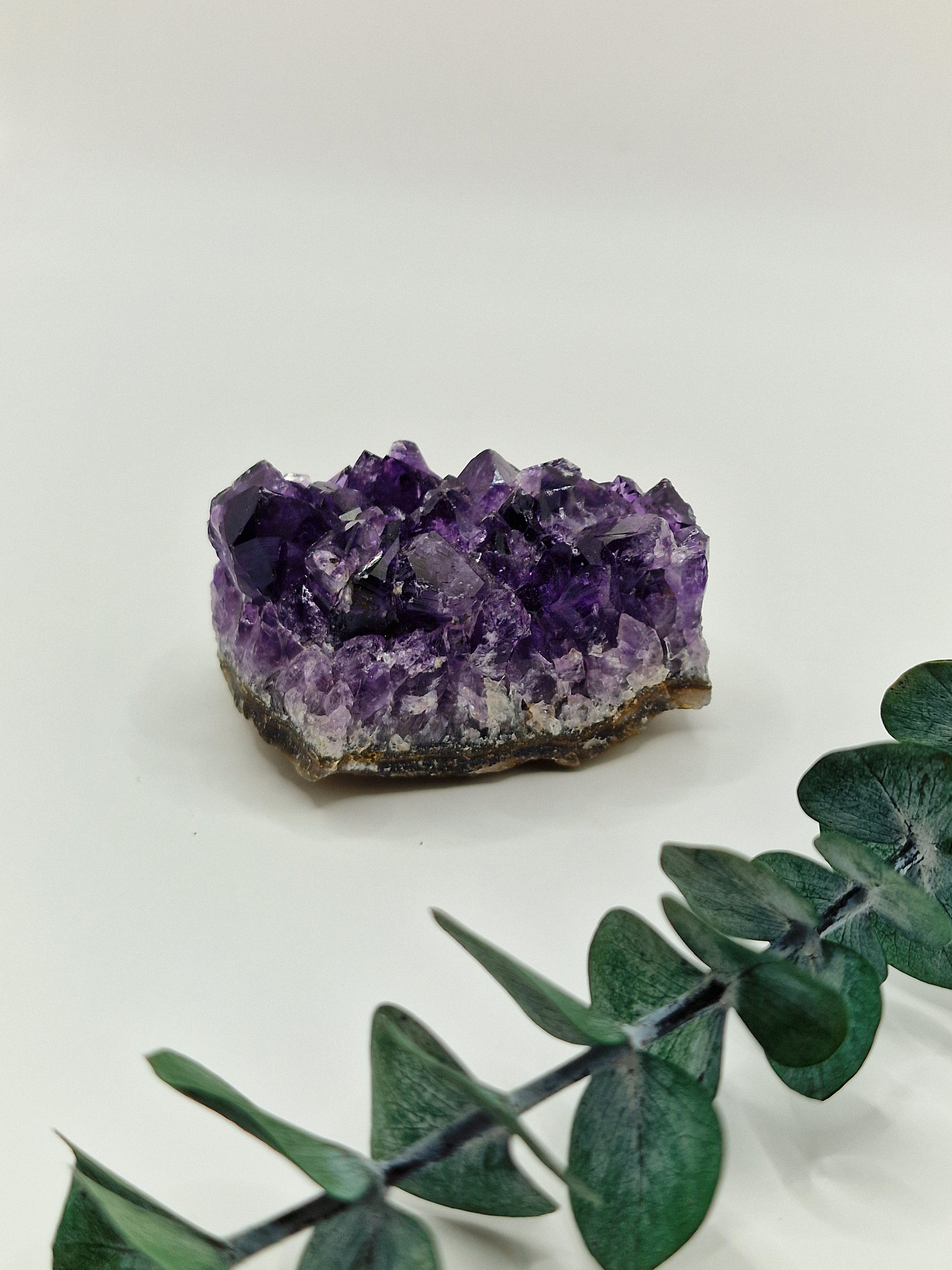 Amethyst Cluster aus Uruguay 💜