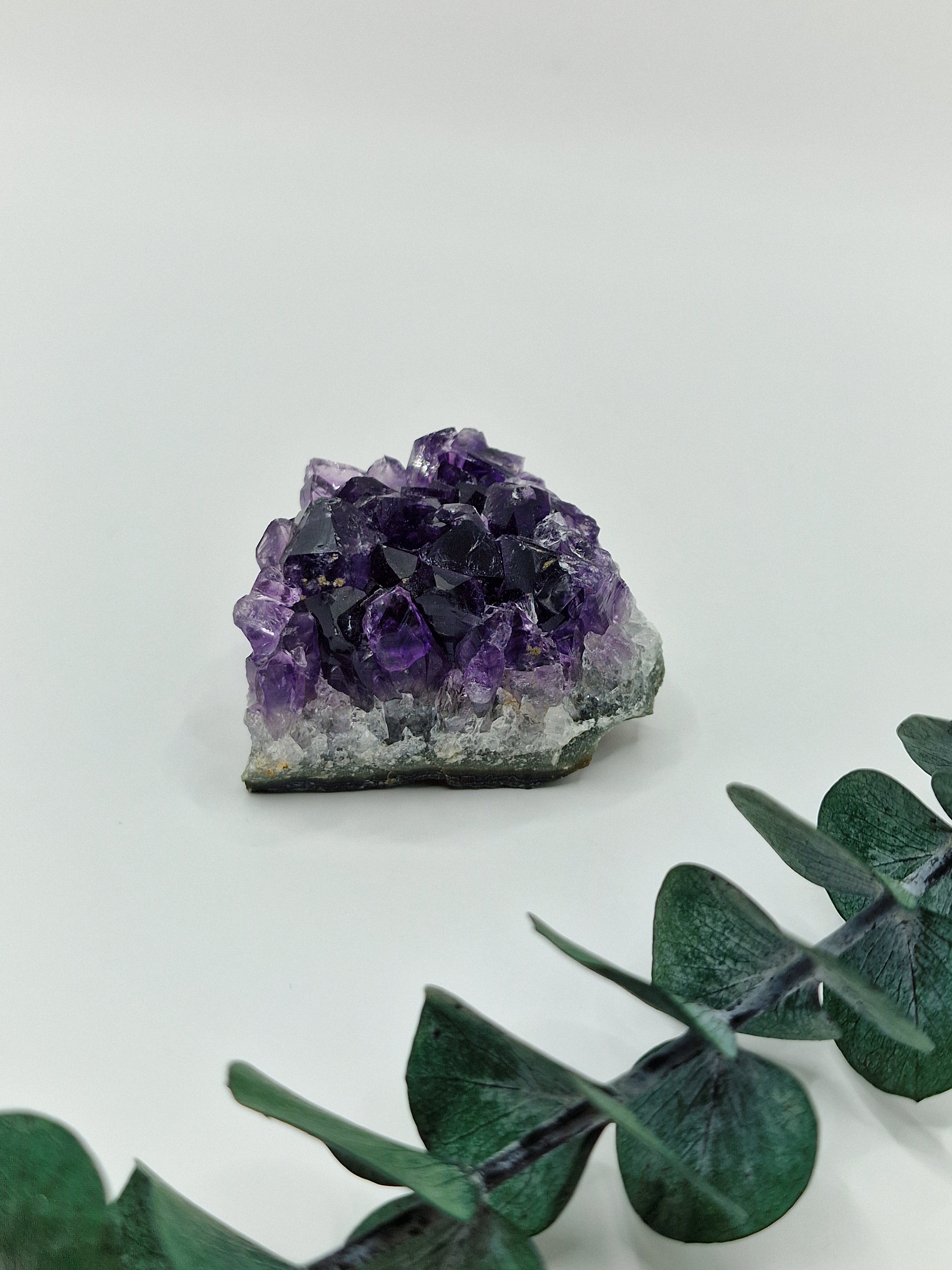 Amethyst Cluster aus Uruguay 💜