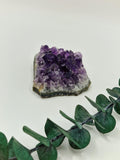 Amethyst Cluster aus Uruguay 💜