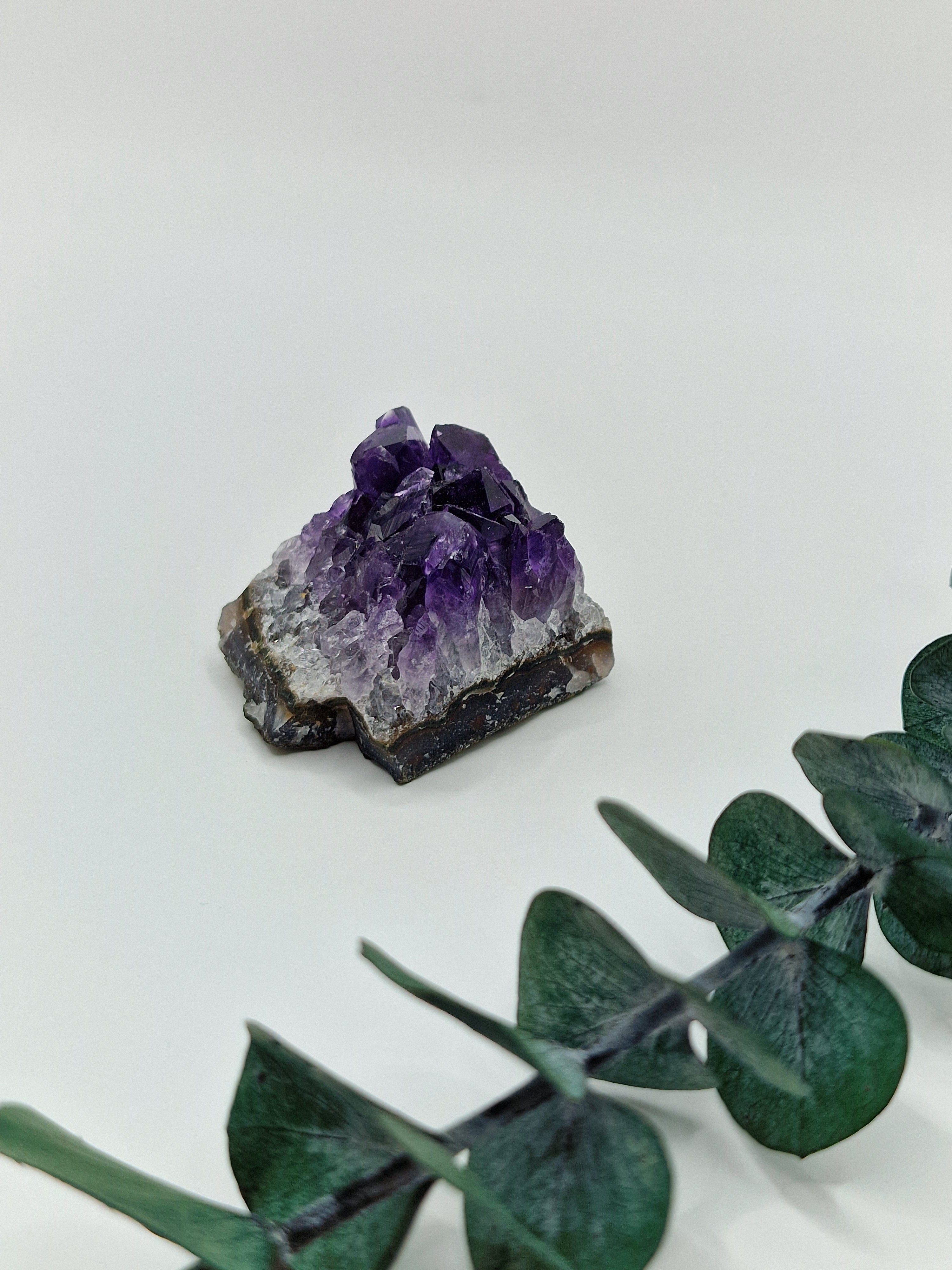 Amethyst Cluster aus Uruguay 💜