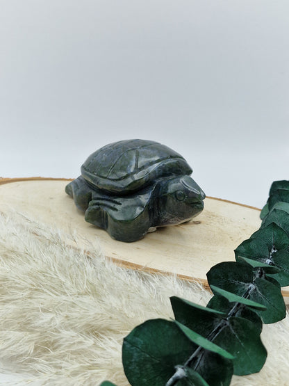 Moosachat Schildkröte 🐢 MS42 B-Ware