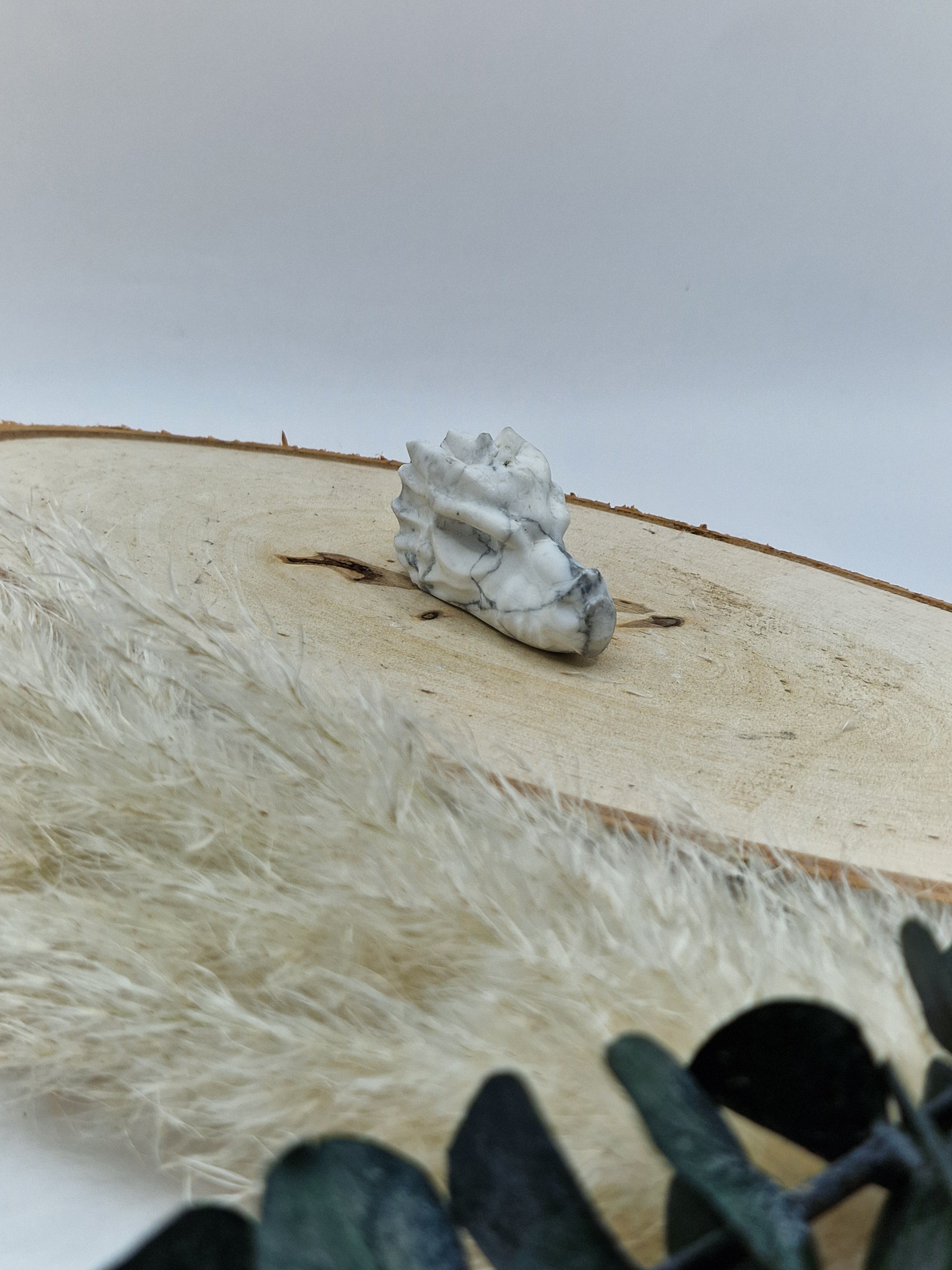 Drachenköpfe 🐲