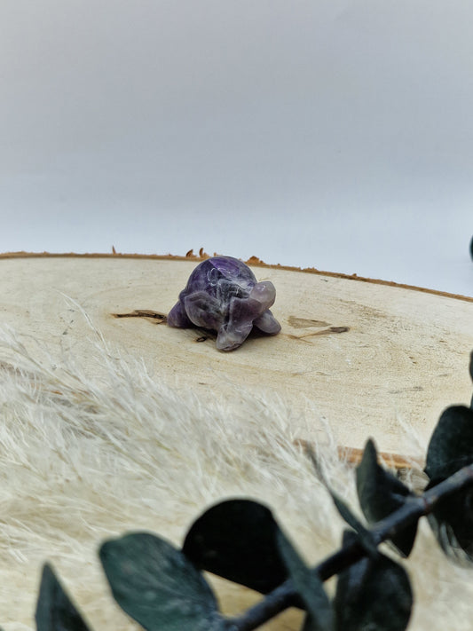 Chevron Amethyst Schildkröte 🐢