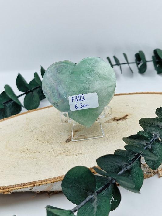 Feder Fluorit Herz 💚 FB22