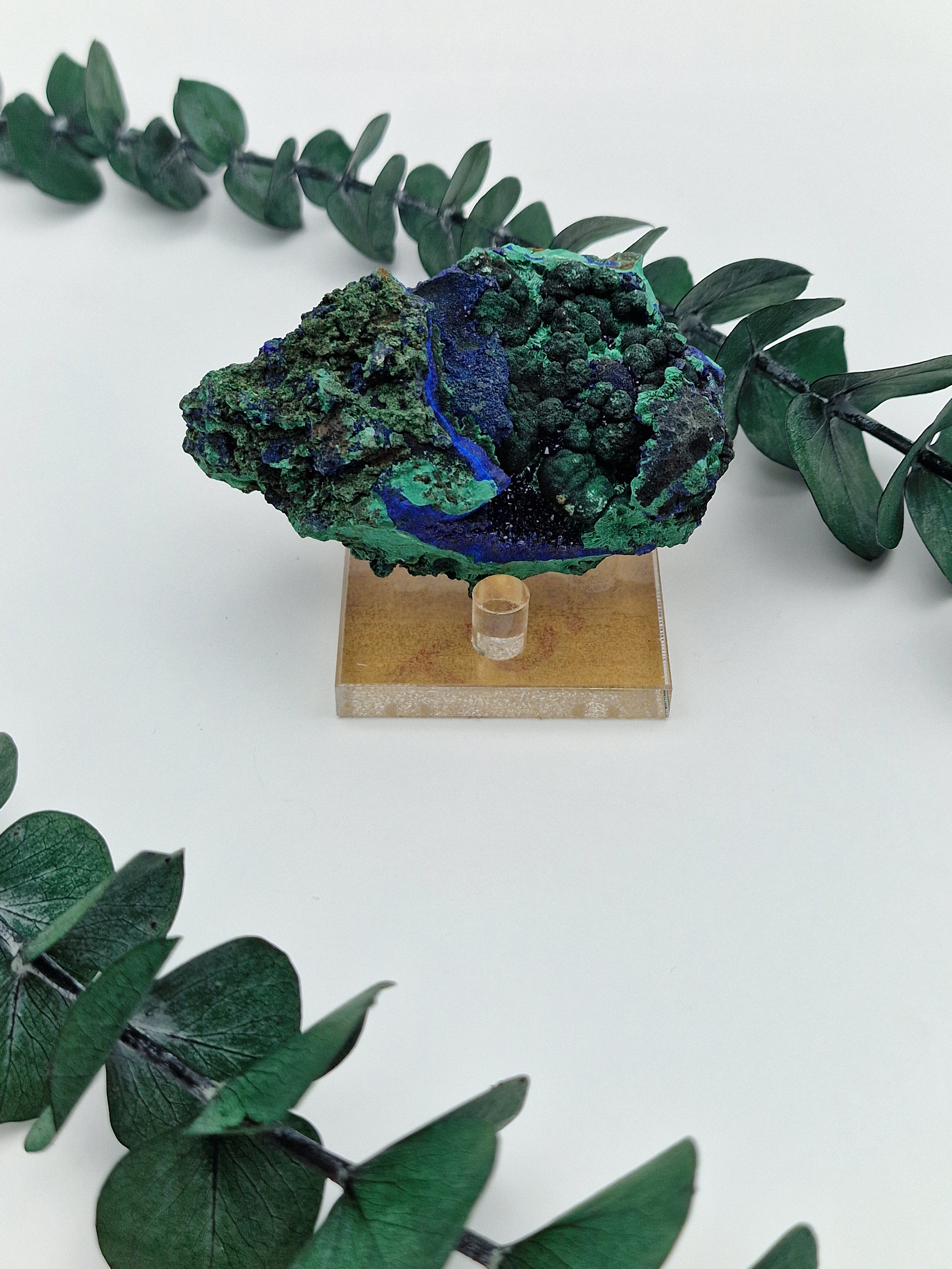 Acryl Specimen/Cluster Ständer