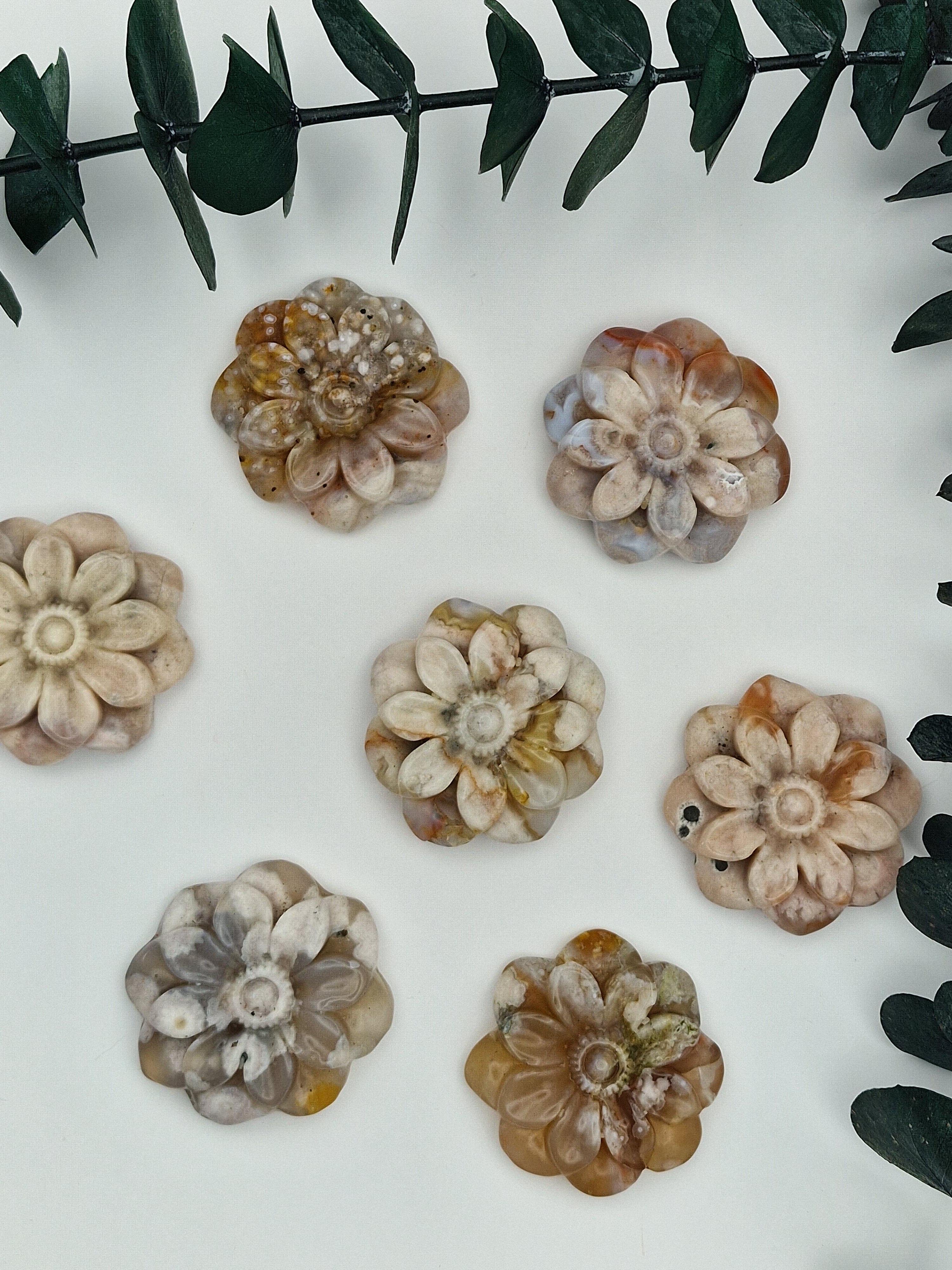 Blumenachat Blumen 🌼