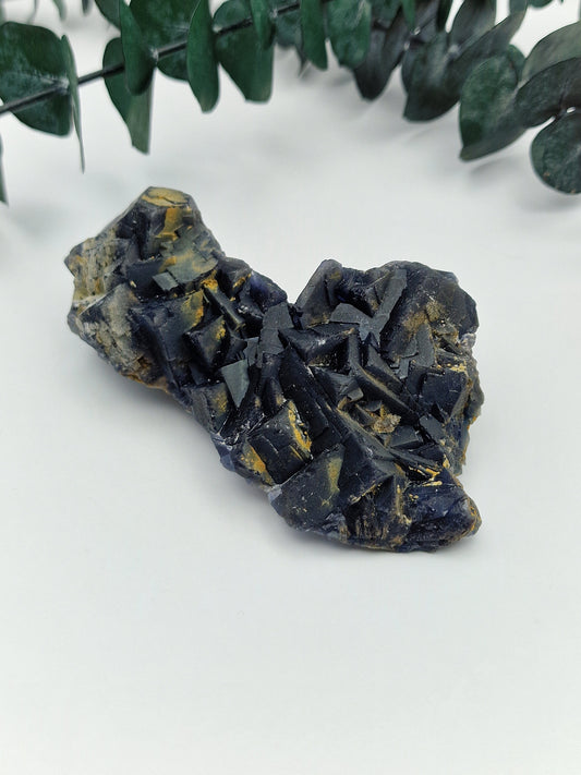 Black Rose Fluorit 🌹 BC48