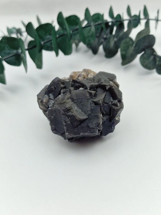 Black Rose Fluorit 🌹 BA54