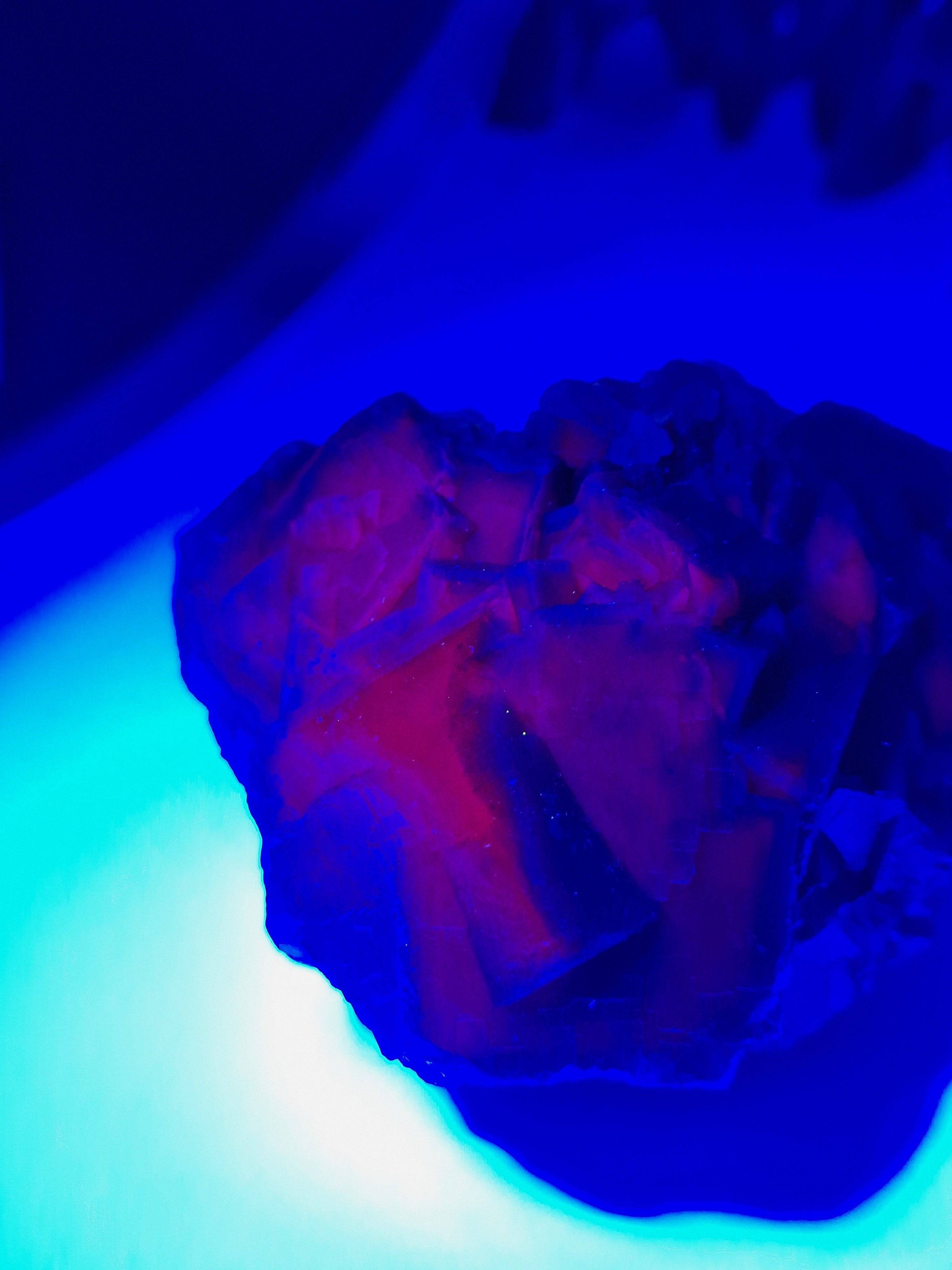 Black Rose Fluorit 🌹 BA54