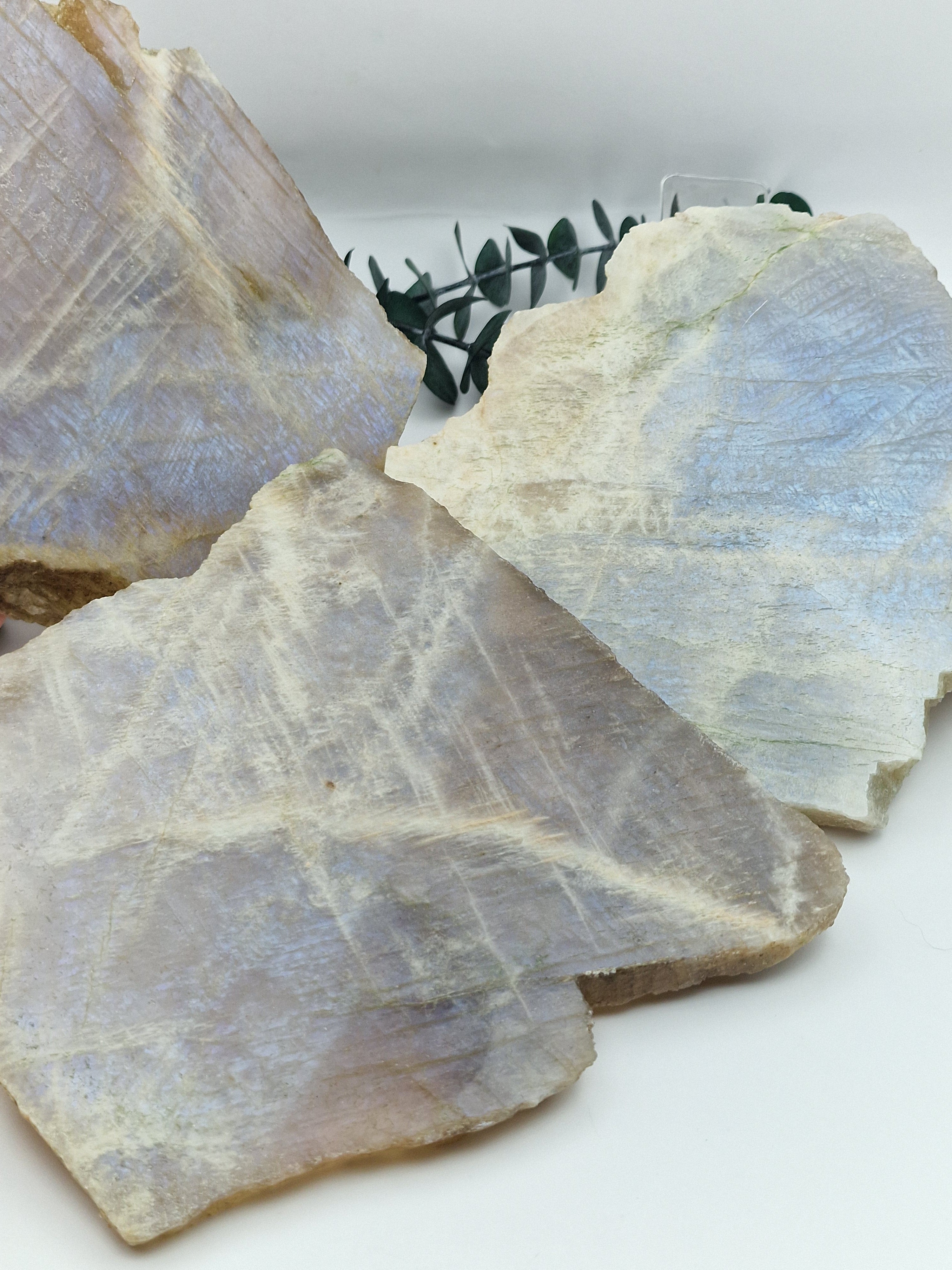 Mondstein Slabs 🌛