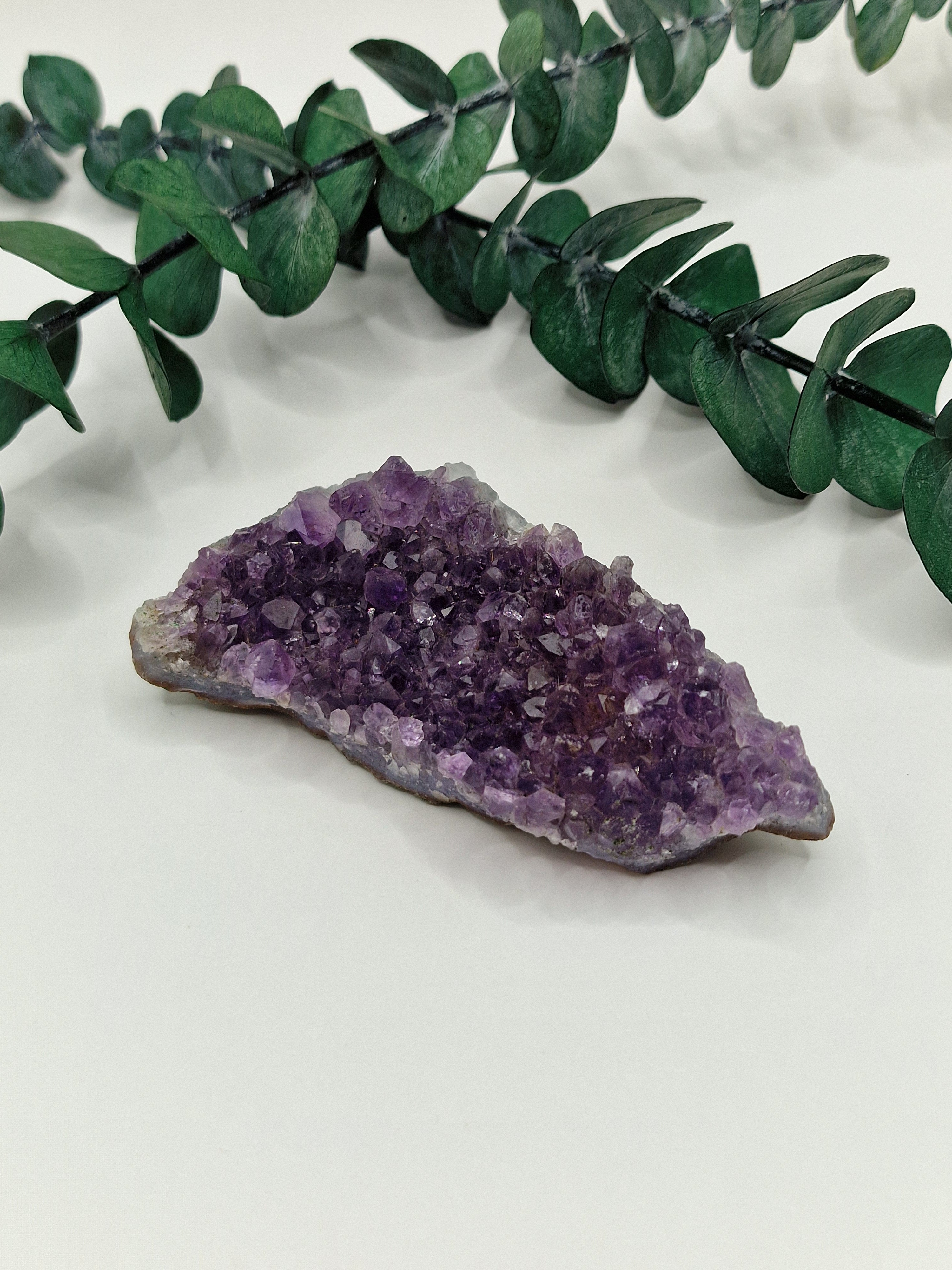 Amethyst Cluster 💜