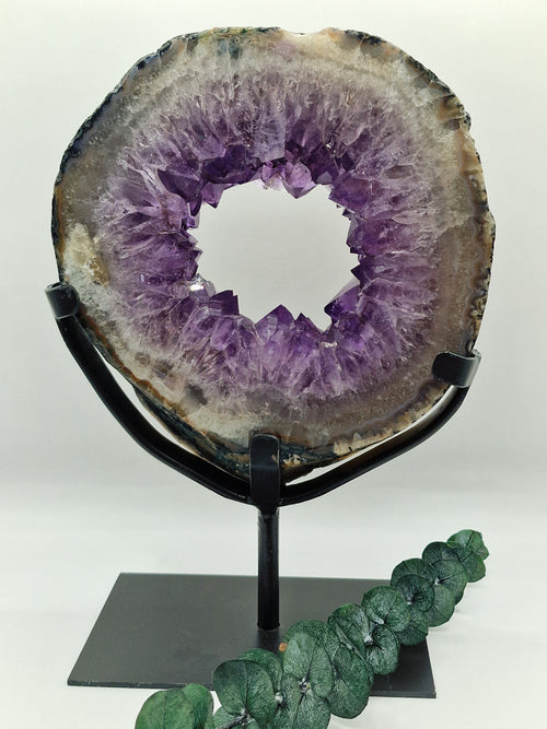 Amethyst Portal 💜 AP264