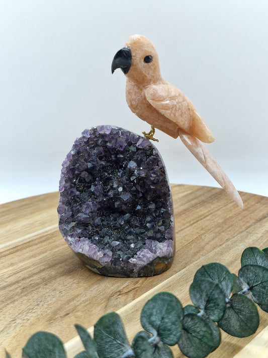 Pink Amethyst Vogel auf Amethyst Cutbase 🦜 DV67