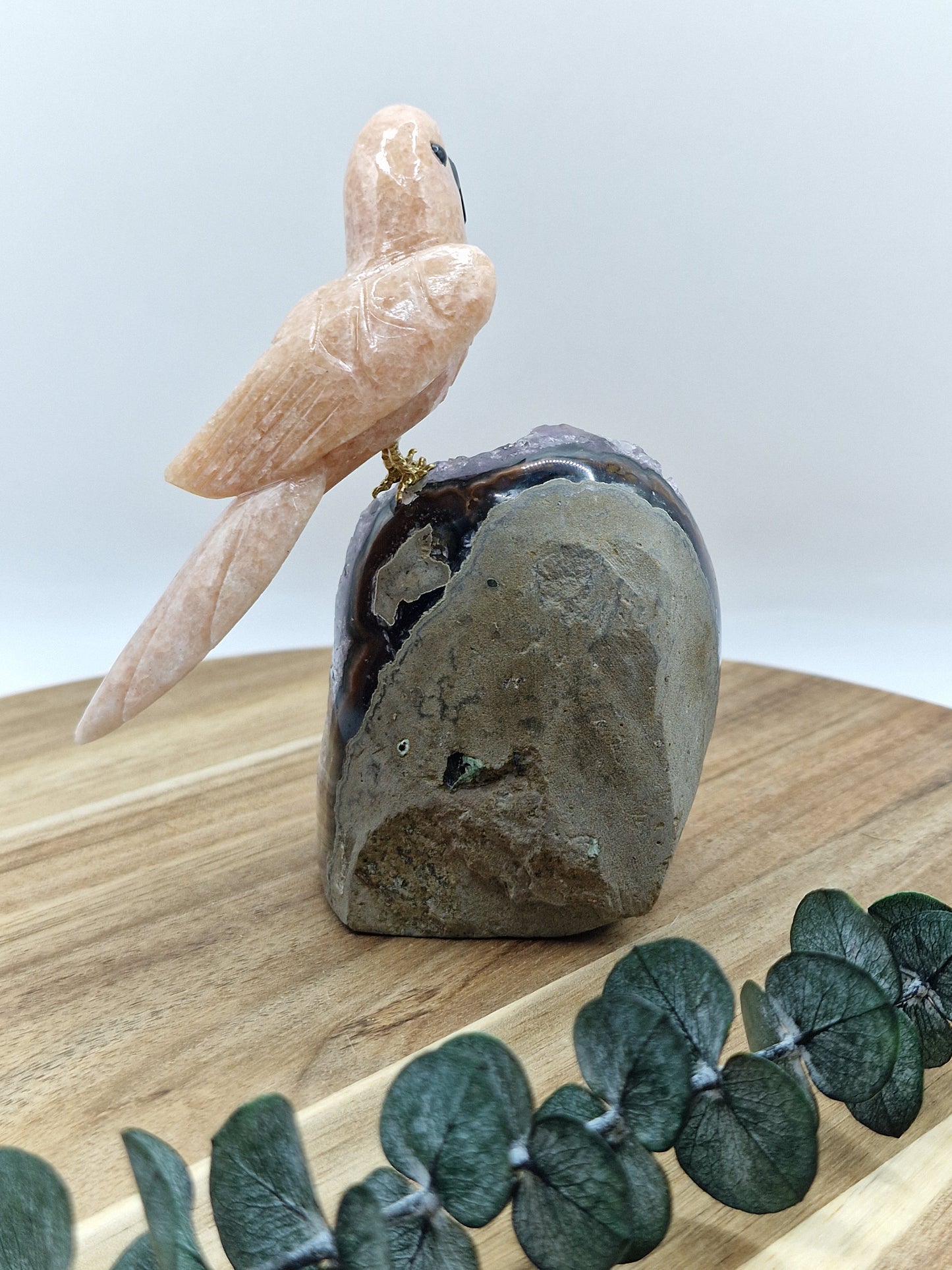 Pink Amethyst Vogel auf Amethyst Cutbase 🦜 DV67