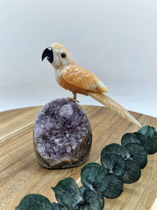 Orangencalcit Vogel auf Amethyst Cutbase 🦜 CV65