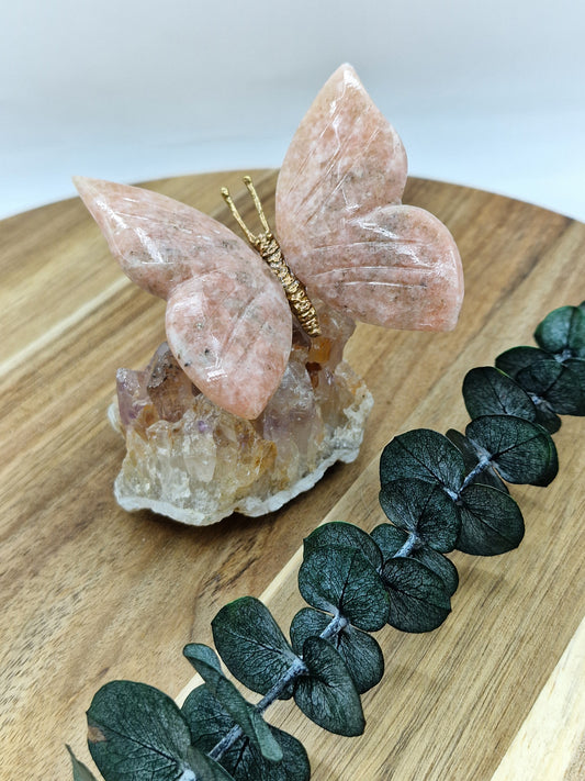 Pink Amethyst Schmetterling auf Amethyst Cluster 🦋 I48