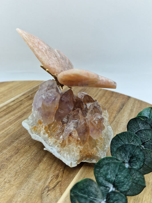 Pink Amethyst Schmetterling auf Amethyst Cluster 🦋 I48