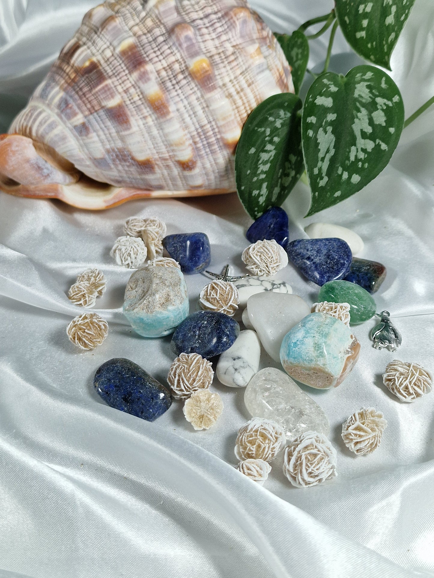 🐚 Astral on the Beach Konfetti ohne Highlights 🐳