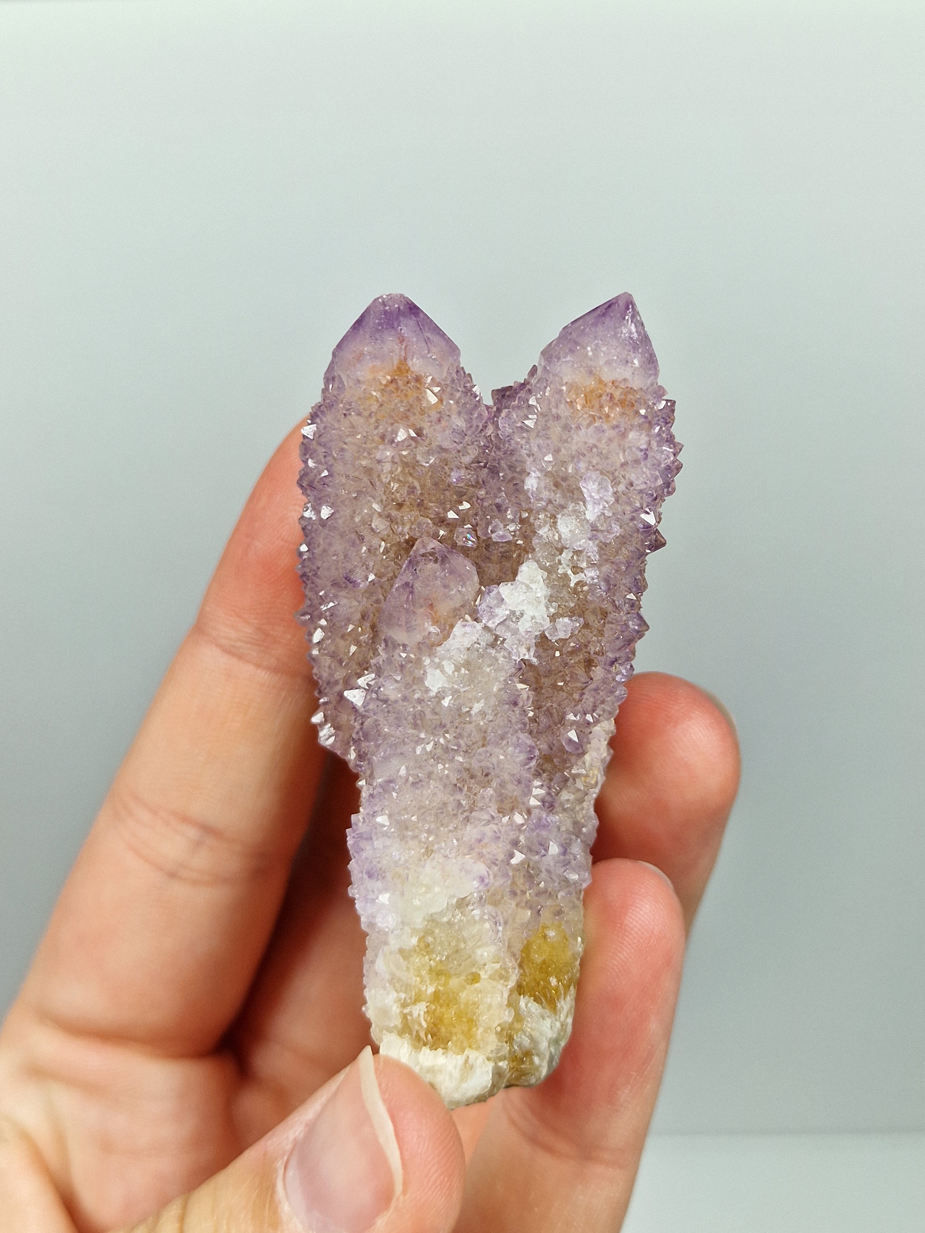 Spirit Quarz/Kaktusquarz 💜 59S