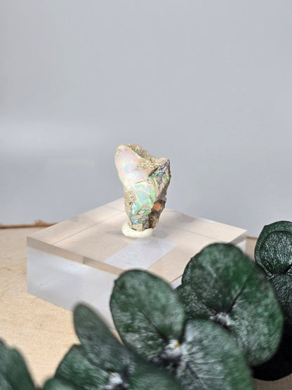 Welo Opal Roh 🌈 MZ41