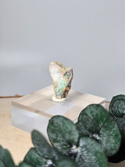 Welo Opal Roh 🌈 MZ41