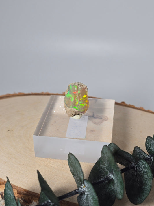 Welo Opal Roh 🌈 GH41