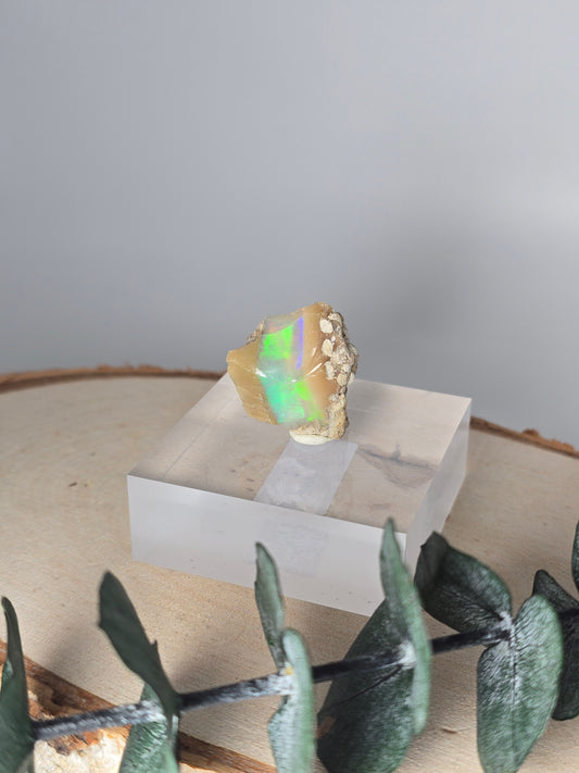 Welo Opal Roh 🌈 EP42