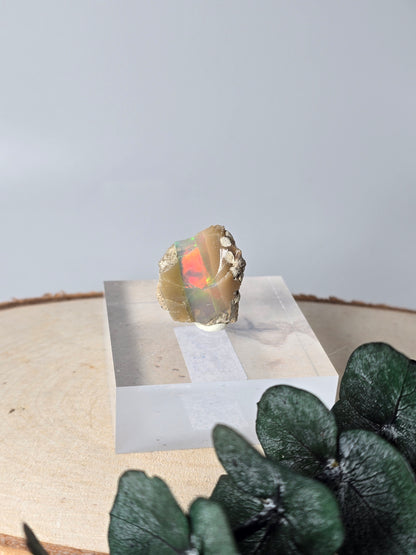 Welo Opal Roh 🌈 EP42