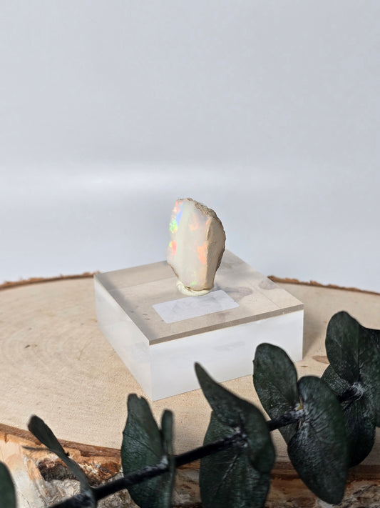 Welo Opal Roh 🌈 MI51