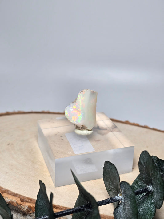 Welo Opal Roh 🌈 MI51