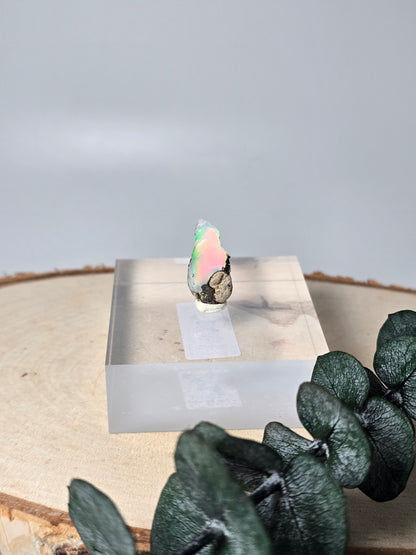 Welo Opal Roh 🌈 KO19