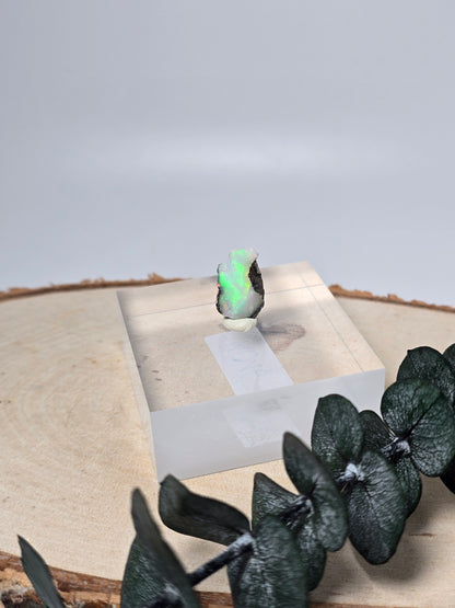 Welo Opal Roh 🌈 KO19