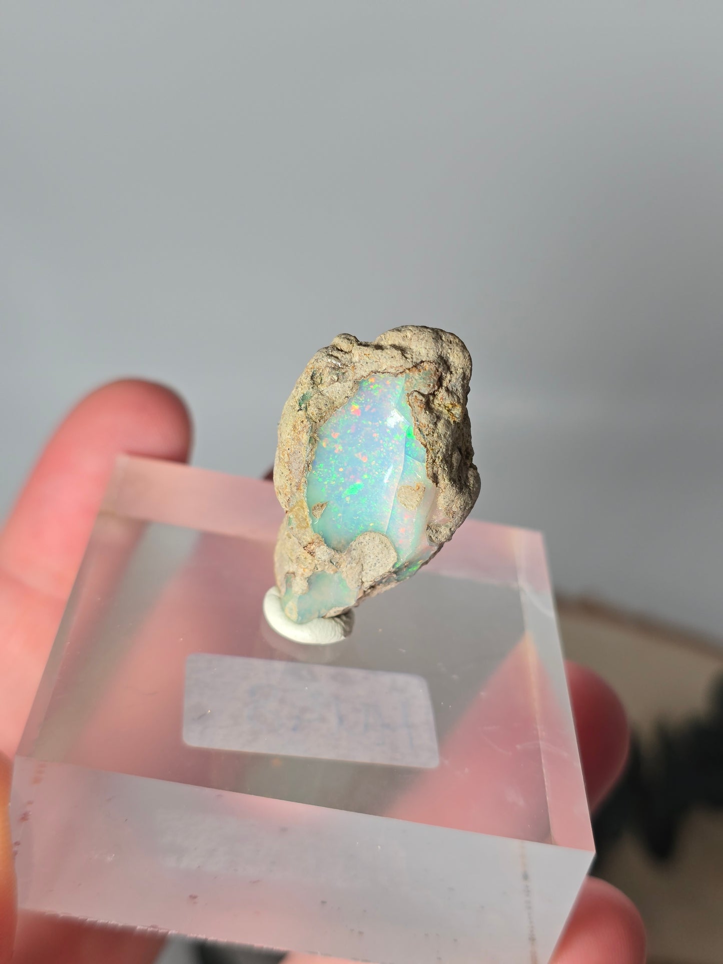 Welo Opal Roh 🌈 MU51