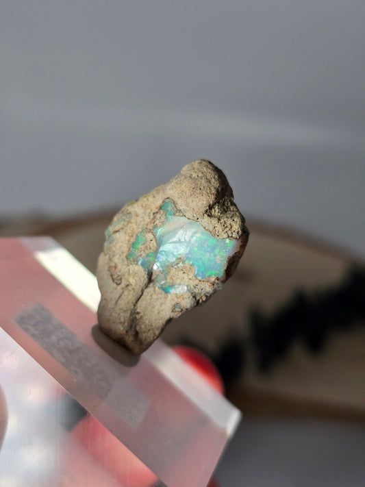 Welo Opal Roh 🌈 MU51