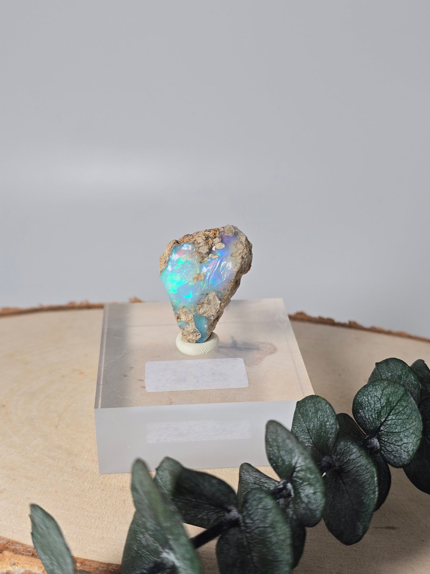 Welo Opal Roh 🌈 H49