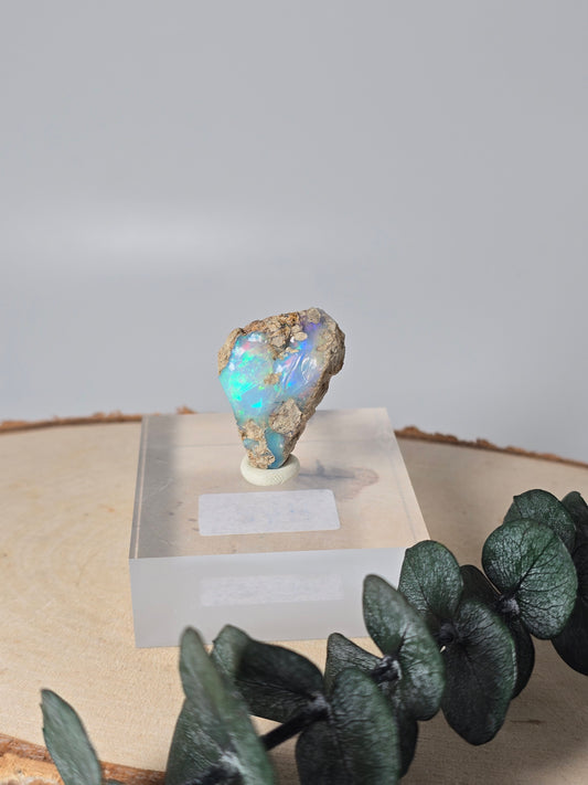 Welo Opal Roh 🌈 H49