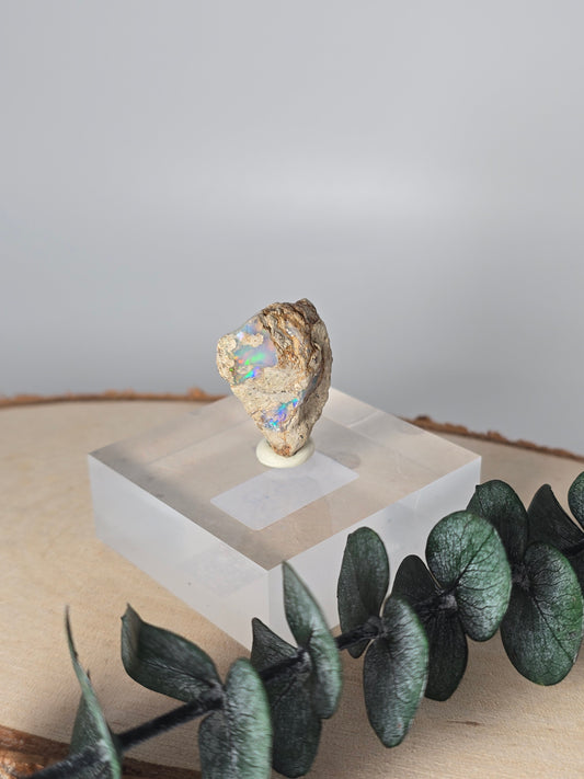 Welo Opal Roh 🌈 H49