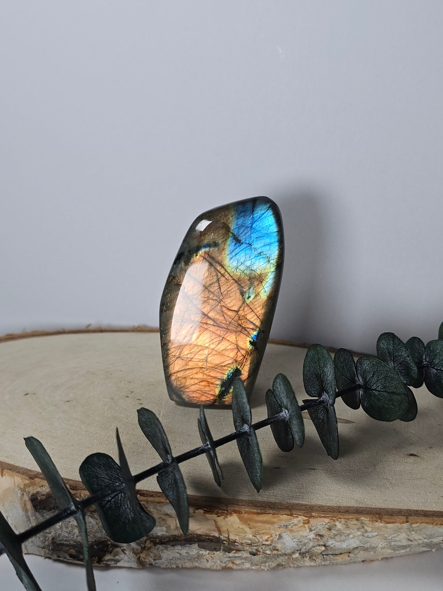 High Quality Labradorit Freiform 🌈 W16