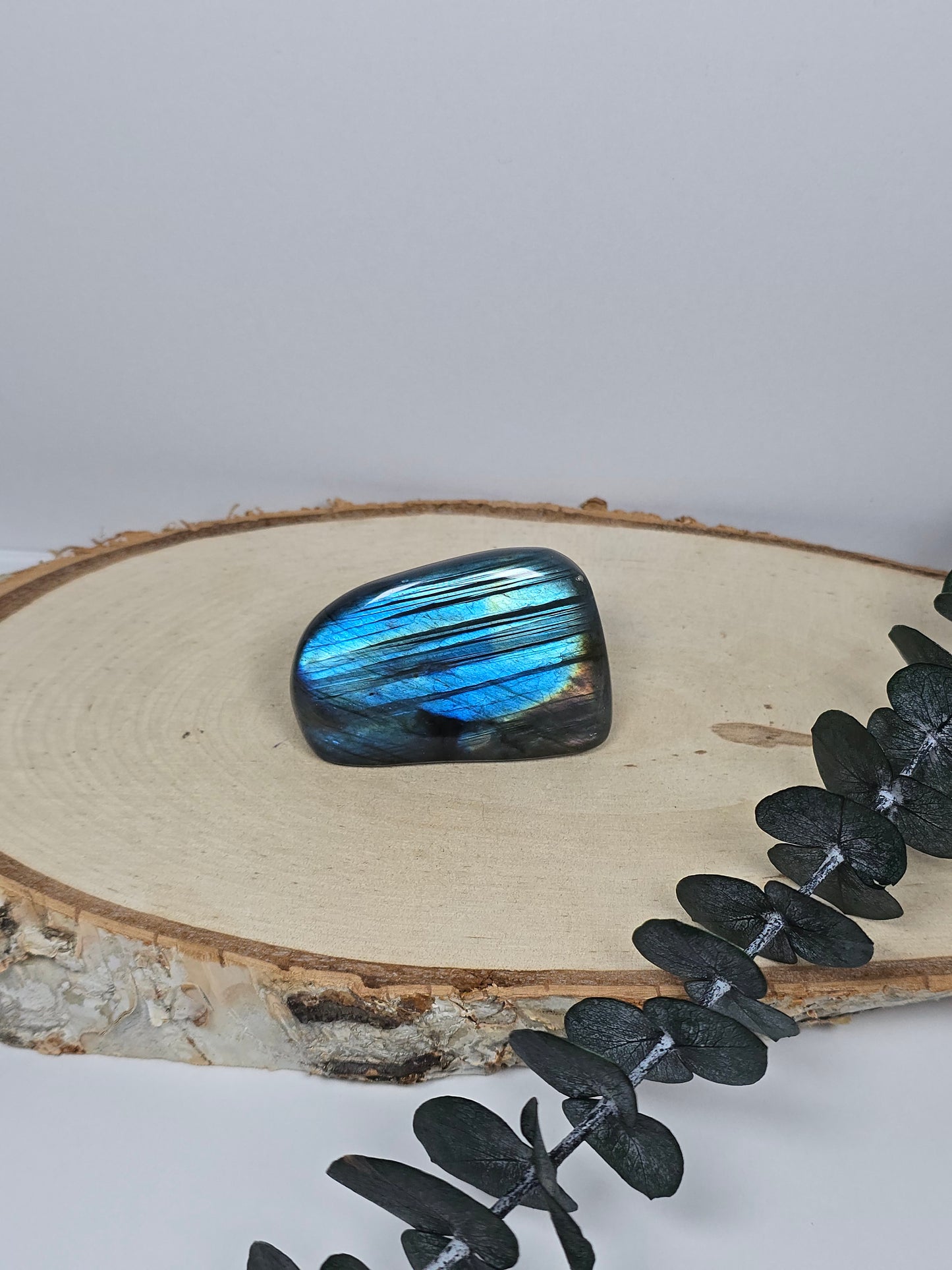 High Quality Labradorit Freiform 🌈 FY11