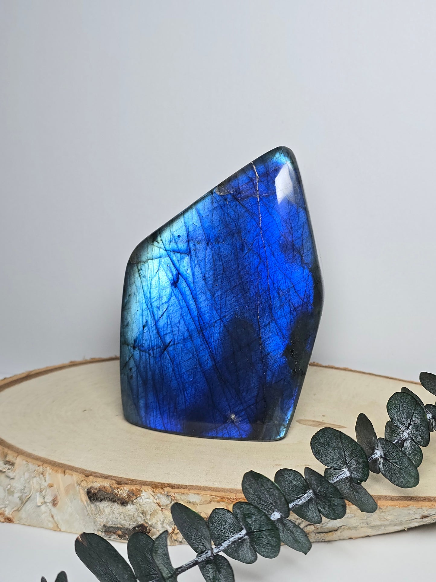 High Quality Labradorit Freiform 🌈 BV81