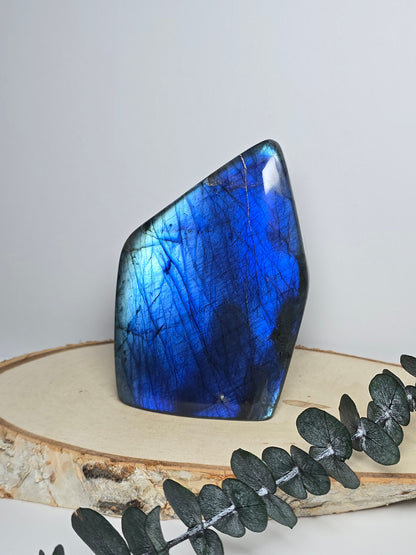 High Quality Labradorit Freiform 🌈 BV81