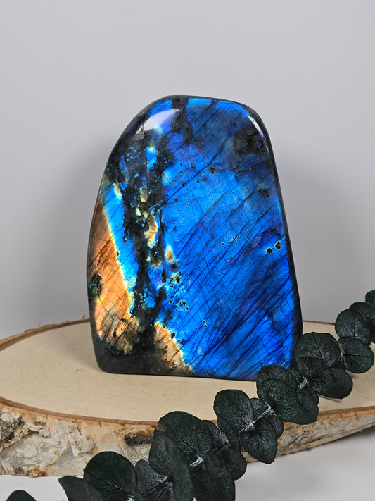 High Quality Labradorit Freiform 🌈 AJ161