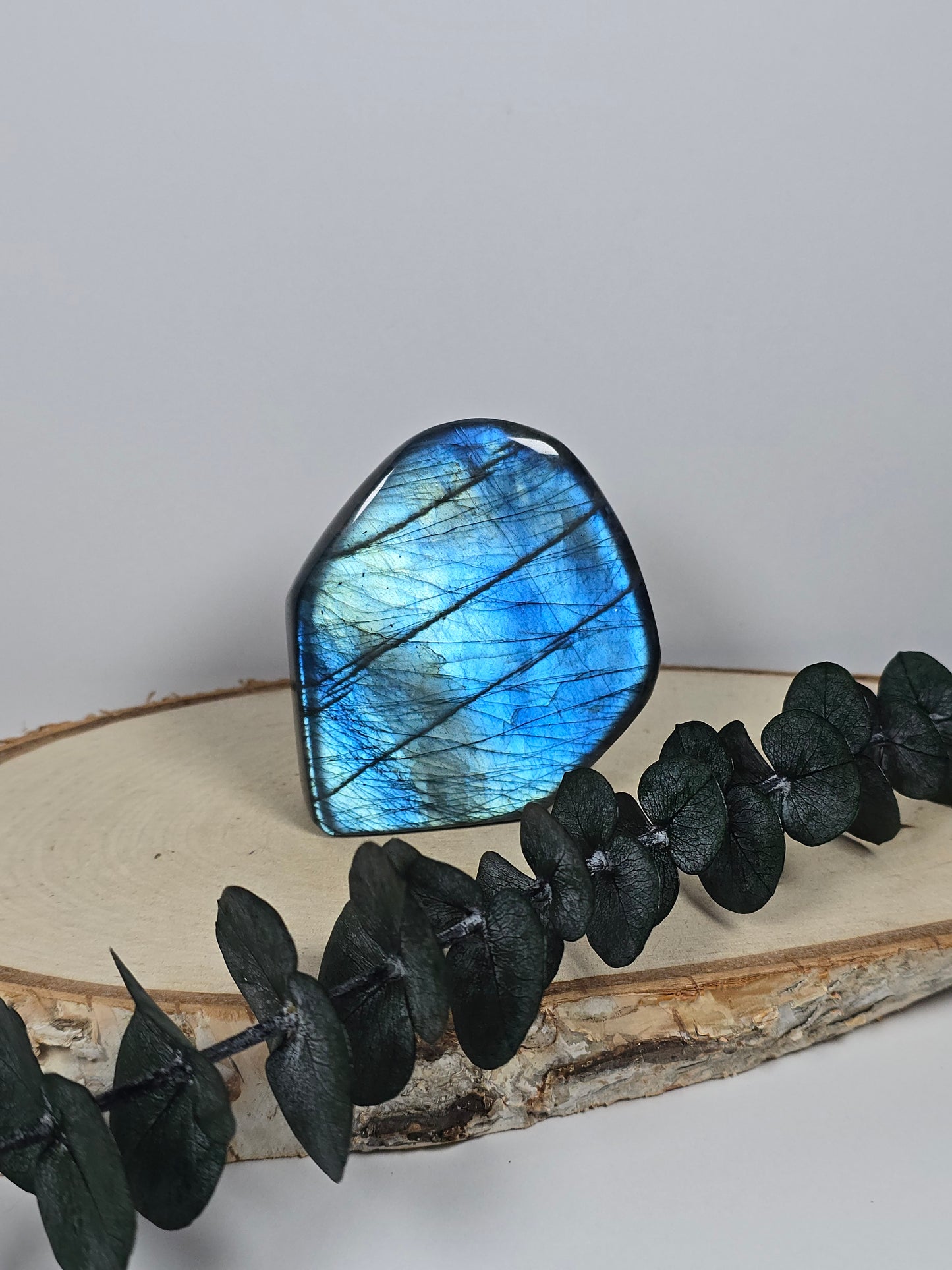 High Quality Labradorit Freiform 🌈 BX26