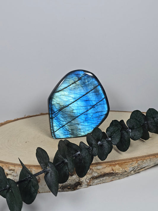 High Quality Labradorit Freiform 🌈 BX26