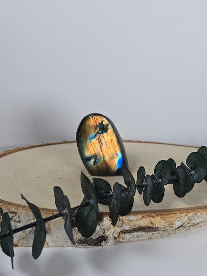 High Quality Labradorit Freiform 🌈 AS11