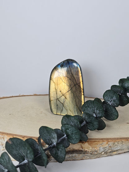 High Quality Labradorit Freiform 🌈 CQ15